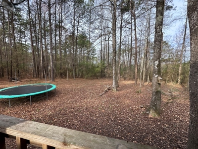 Mobile Home and 1.53 Acres Lincoln County Bogue Chitto MS - image 10