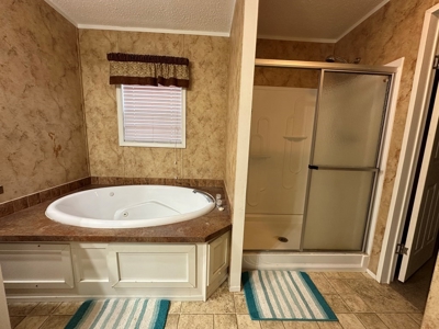 Mobile Home and 1.53 Acres Lincoln County Bogue Chitto MS - image 19