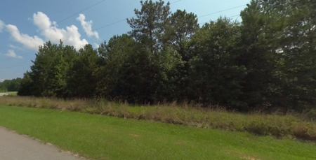 11 LAKE LOT PORTFOLIO for Luxury Homes Georgia - image 33