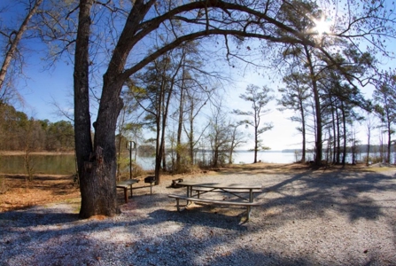 11 LAKE LOT PORTFOLIO for Luxury Homes Georgia - image 7