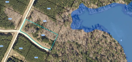 11 LAKE LOT PORTFOLIO for Luxury Homes Georgia - image 22