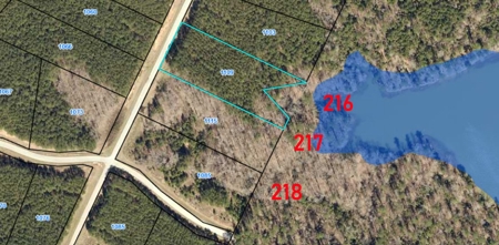 11 LAKE LOT PORTFOLIO for Luxury Homes Georgia - image 19