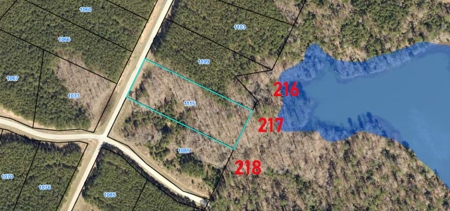 11 LAKE LOT PORTFOLIO for Luxury Homes Georgia - image 20
