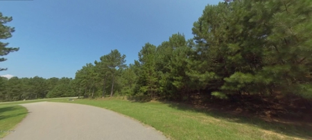 11 LAKE LOT PORTFOLIO for Luxury Homes Georgia - image 28