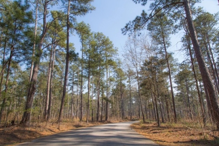 11 LAKE LOT PORTFOLIO for Luxury Homes Georgia - image 5
