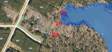 11 LAKE LOT PORTFOLIO for Luxury Homes Georgia - image 21