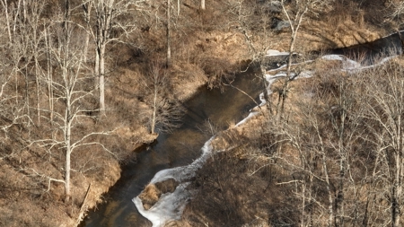Affordable Hunting Land for Sale in Clark County, Wisconsin - image 16