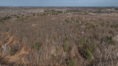 Affordable Hunting Land for Sale in Clark County, Wisconsin - image 23