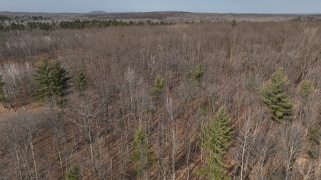 Affordable Hunting Land for Sale in Clark County, Wisconsin - image 6