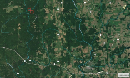 Affordable Hunting Land for Sale in Clark County, Wisconsin - image 36