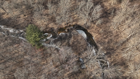 Affordable Hunting Land for Sale in Clark County, Wisconsin - image 3