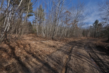 Affordable Hunting Land for Sale in Clark County, Wisconsin - image 32