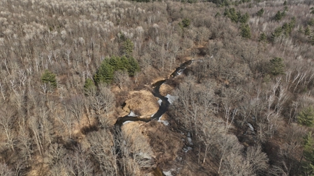 Affordable Hunting Land for Sale in Clark County, Wisconsin - image 4