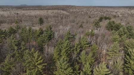 Affordable Hunting Land for Sale in Clark County, Wisconsin - image 17