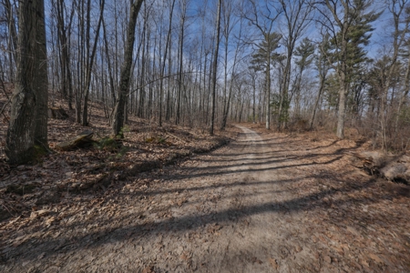 Affordable Hunting Land for Sale in Clark County, Wisconsin - image 31
