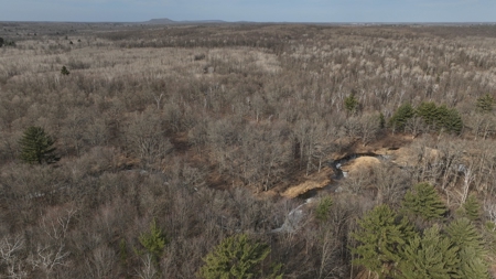 Affordable Hunting Land for Sale in Clark County, Wisconsin - image 1
