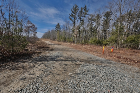 Affordable Hunting Land for Sale in Clark County, Wisconsin - image 30