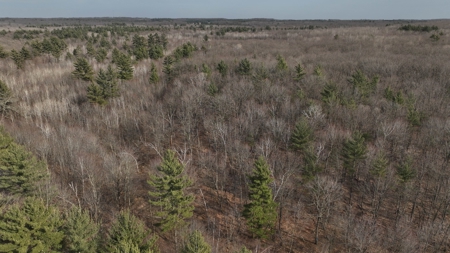 Affordable Hunting Land for Sale in Clark County, Wisconsin - image 28