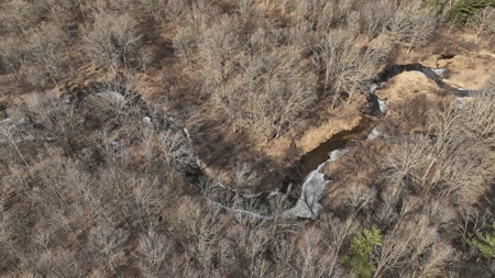 Affordable Hunting Land for Sale in Clark County, Wisconsin - image 2