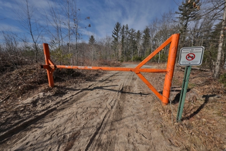 Affordable Hunting Land for Sale in Clark County, Wisconsin - image 29