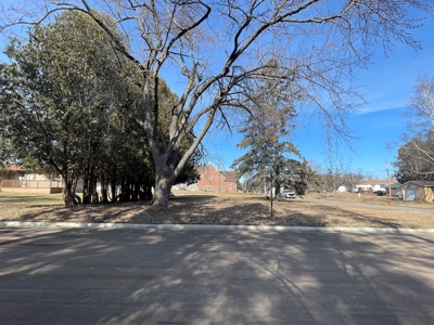 Corner Lot of Land For Sale in the City of Sandstone MN - image 4
