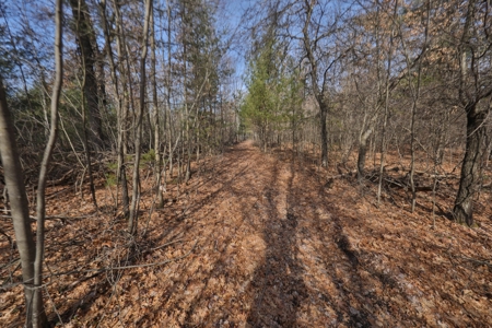 Hunting Camp for Sale in Clark County, Wisconsin - image 17
