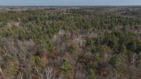 Hunting Camp for Sale in Clark County, Wisconsin - image 16