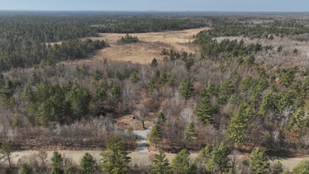 Hunting Camp for Sale in Clark County, Wisconsin - image 3
