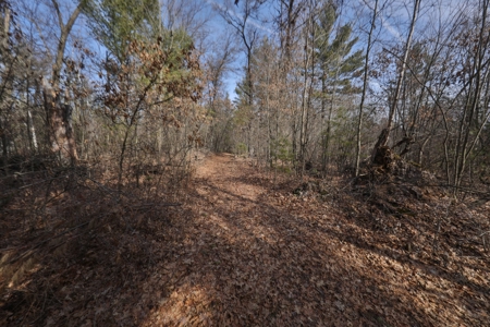 Hunting Camp for Sale in Clark County, Wisconsin - image 19