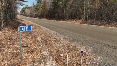 Hunting Camp for Sale in Clark County, Wisconsin - image 6