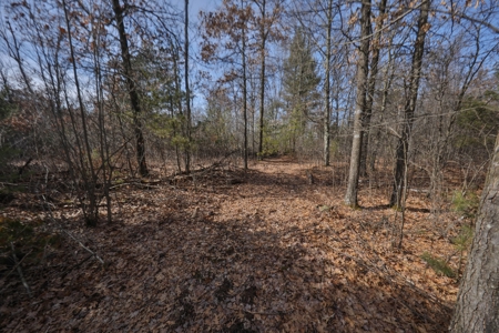 Hunting Camp for Sale in Clark County, Wisconsin - image 18