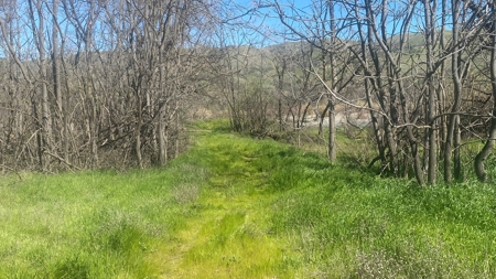 The Hoot N Hollar Ranch. Cache Creek Frontage - image 6