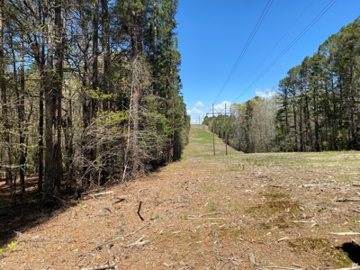 18 acre recreational tract for sale - image 6