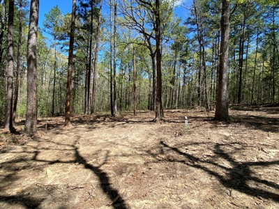 18 acre recreational tract for sale - image 2