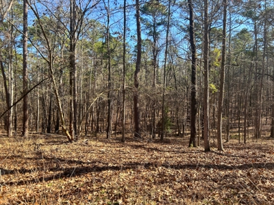 18 acre recreational tract for sale - image 7