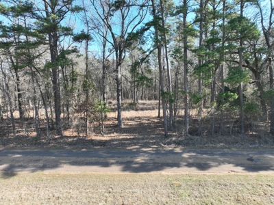 18 acre recreational tract for sale - image 1