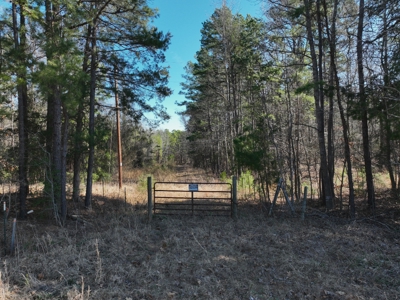 18 acre recreational tract for sale - image 5
