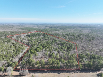 18 acre recreational tract for sale - image 4