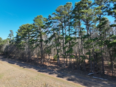 18 acre recreational tract for sale - image 9