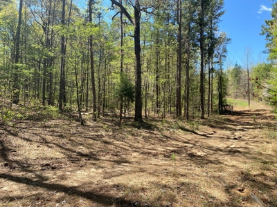 18 acre recreational tract for sale - image 3