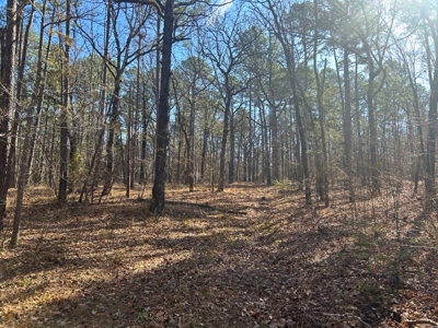 18 acre recreational tract for sale - image 8