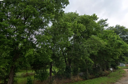 Large Building Lot With Many Trees With 2 Water Wells!! - image 1