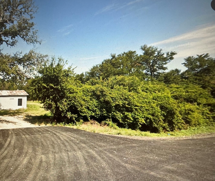 North side of property