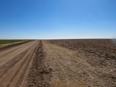 Land Auction 4 Quarters Gray County Kansas Farmland - image 10