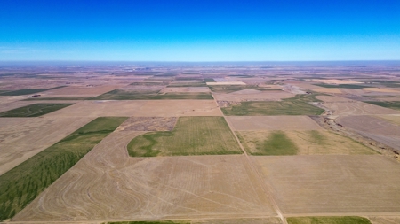 Land Auction 4 Quarters Gray County Kansas Farmland - image 2