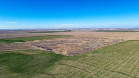 Land Auction 4 Quarters Gray County Kansas Farmland - image 3