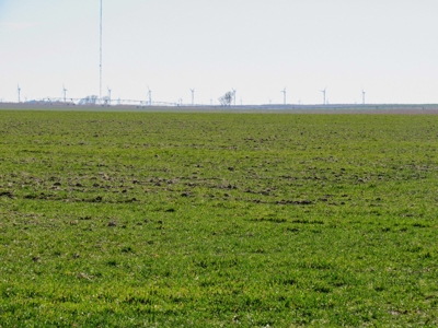 Land Auction 4 Quarters Gray County Kansas Farmland - image 12