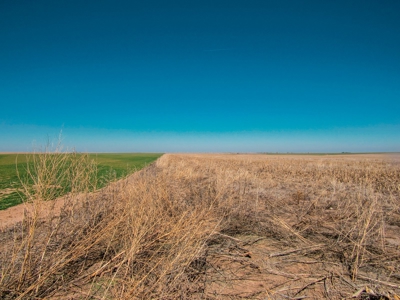 Land Auction 4 Quarters Gray County Kansas Farmland - image 8