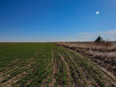 Land Auction 4 Quarters Gray County Kansas Farmland - image 15