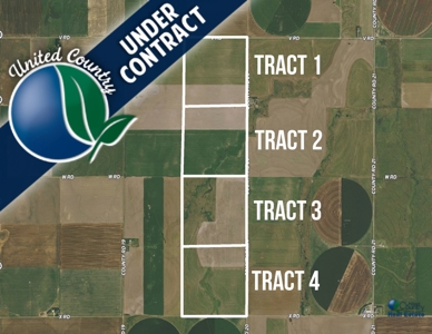 Land Auction 4 Quarters Gray County Kansas Farmland - image 21